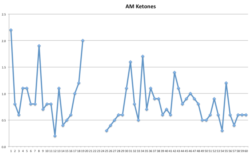 60 days ketones