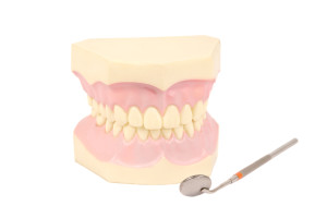 teeth