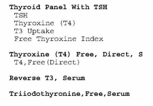 Thyroid
