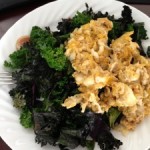 Day 54 – Nutritional Ketosis