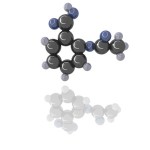 Biochemistry Primer