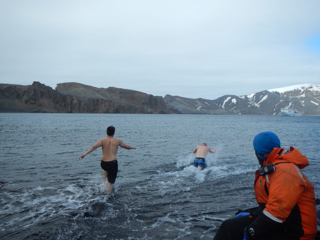 Polar plunge 1