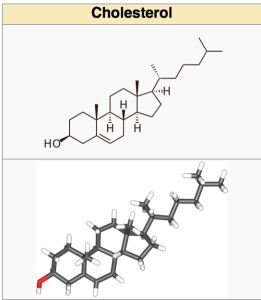 http://en.wikipedia.org/wiki/Cholesterol Cholesterol