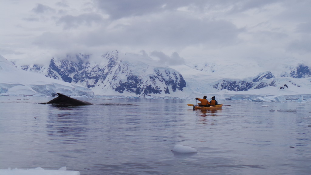 Antarctica 1