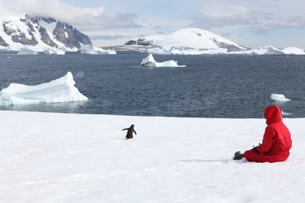 Antarctica 2