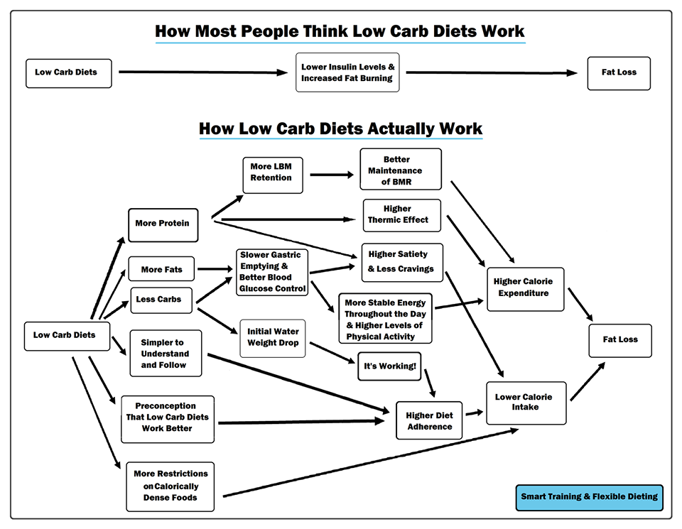 How-Low-Carb-Diets-Actually-Work.png